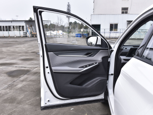 2022ڶ 2.0T ԄI {λ܇T