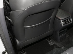 2022 1.5T Ԅ׿Խ g