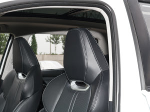 2022 1.5T Ԅ׿Խ g