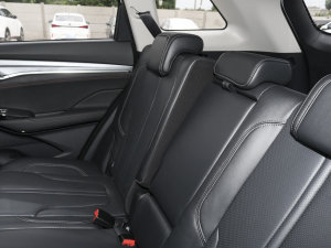 2022 1.5T Ԅ׿Խ g