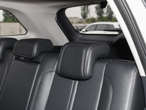 2022 1.5T Ԅ׿Խ g