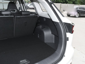 2022 1.5T Ԅ׿Խ g