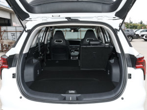 2022 1.5T Ԅ׿Խ g