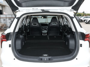 2022 1.5T Ԅ׿Խ g