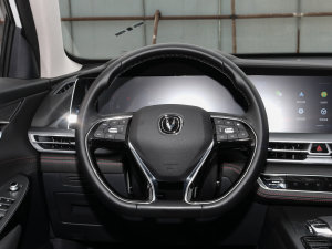 2022(jng) 1.5T Ԅ׿Խ P