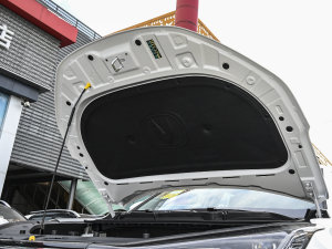 2022 1.5T Ԅh lәCœ