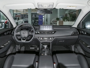 2022款蓝鲸版 1.5T DCT精英型 内饰全景