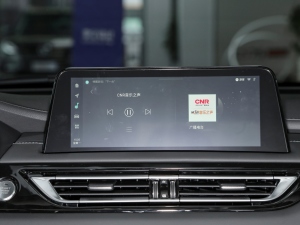 2022款蓝鲸版 1.5T DCT精英型 音响调节