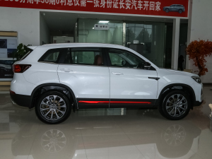 2022款蓝鲸版 1.5T DCT尊贵型 正侧（右）