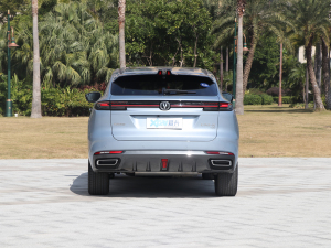 2022款1.5T 尊贵型 正后	