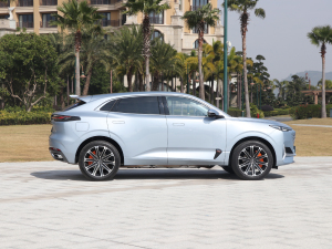 2022款1.5T 尊贵型 正侧（右）