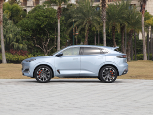 2022款1.5T 尊贵型 正侧（左）