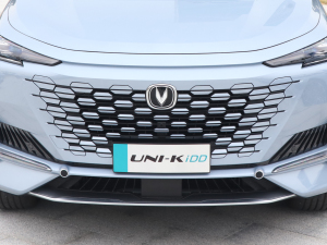 2022款1.5T 尊贵型 中网