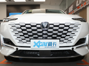 2022款1.5T 卓越型 中网
