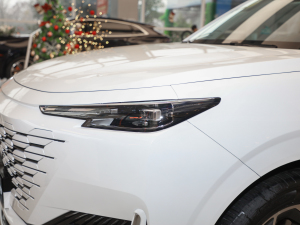 2022款1.5T 卓越型 大灯