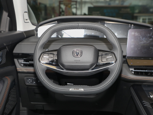 2022款1.5T 卓越型 方向盘