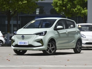 2022款清心版 多彩款 磷酸铁锂 左前45度