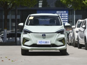 2022款清心版 多彩款 磷酸铁锂 正前