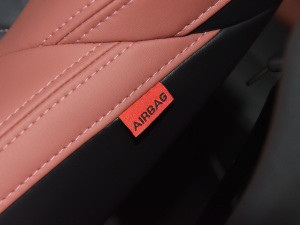 2022PLUS {LNE 1.4T GDI DCTŞ п؅^(q)