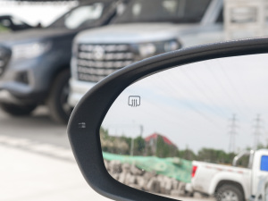 2022PLUS {(ln)LNE 1.4T GDI DCTF (x)(ji)^