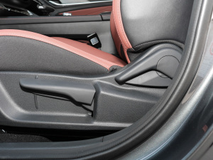 2022PLUS {(ln)LNE 1.4T GDI DCTF {{(dio)(ji)