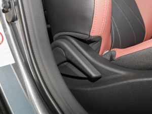 2022PLUS {LNE 1.4T GDI DCTF g