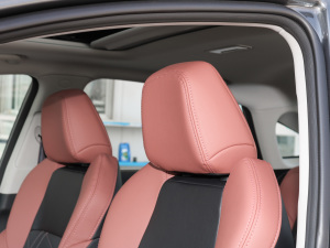 2022PLUS {LNE 1.4T GDI DCTF g