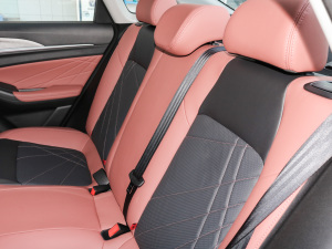 2022PLUS {(ln)LNE 1.4T GDI DCTF g