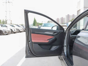 2022款PLUS 蓝鲸NE 1.4T GDI DCT尊贵型 驾驶位车门