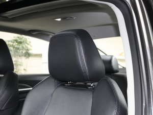 2022PLUS 1.6L GDI ք(dng)A g