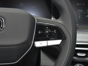 2022PLUS 1.6L GDI CVTӢ п؅^(q)