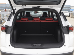 2022{LNE 1.4T DCTF g