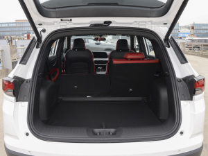 2022{LNE 1.4T DCTF g