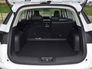 2022{LNE 1.4T DCTA g