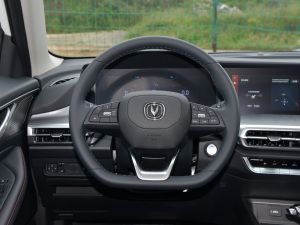 2022{LNE 1.4T DCTA P