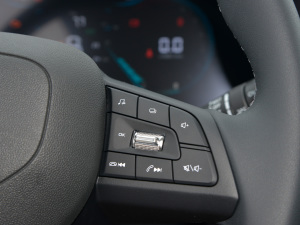 2022{LNE 1.4T DCTA п؅^