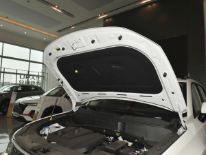 20221.6L քӺA lәCœ