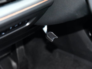 20231.5T 113km ǿ п؅^