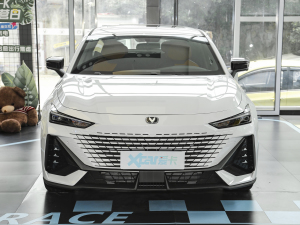 20231.5T 113km Ȥ ǰ