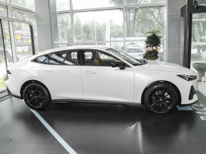 20231.5T 113km Ȥ ȣң