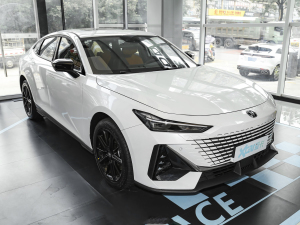 20231.5T 113km Ȥ ǰ45