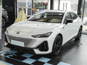 20231.5T 113km Ȥ ǰ45