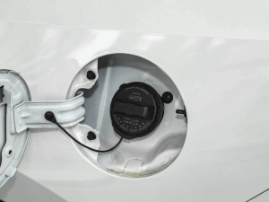 20231.5T 113km Ȥ (ji)^