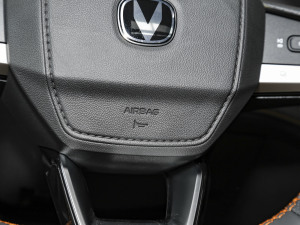 20231.5T 113km Ȥ п؅^