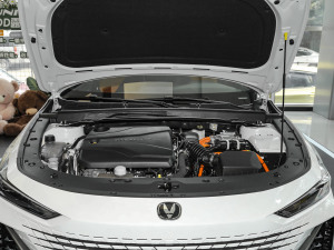 20231.5T 113km Ȥ l(f)әC(j)