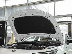 20231.5T 113km Ȥ l(f)әC(j)œ