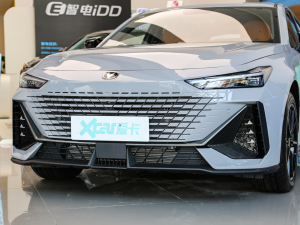 2023 iDD 1.5T 113kmȤͣw棩 (x)(ji)^