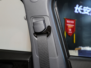 2023 iDD 1.5T 113kmȤͣw棩 g