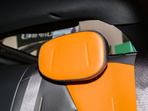 2023 iDD 1.5T 113kmȤͣw棩 g