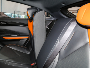 2023 iDD 1.5T 113kmȤͣw棩 g